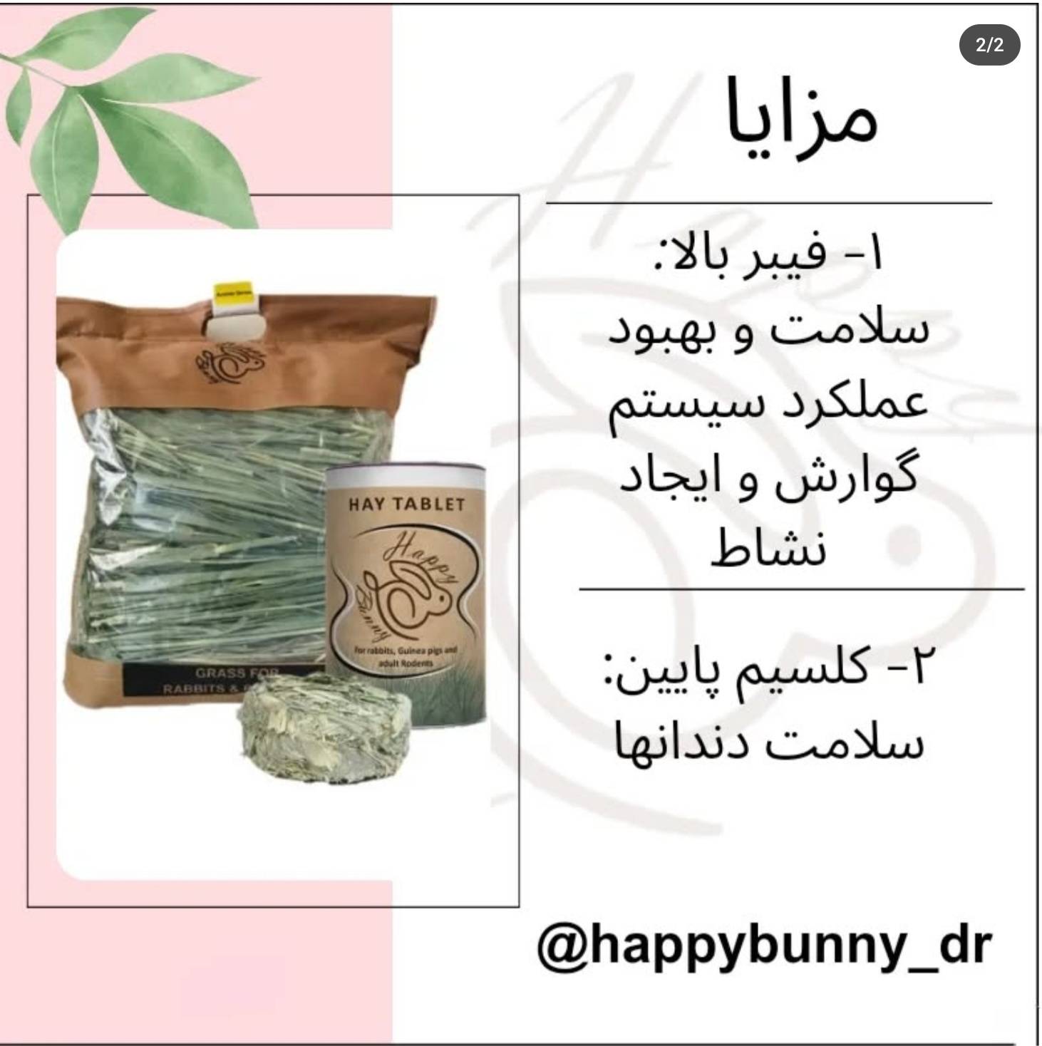 Happybuny