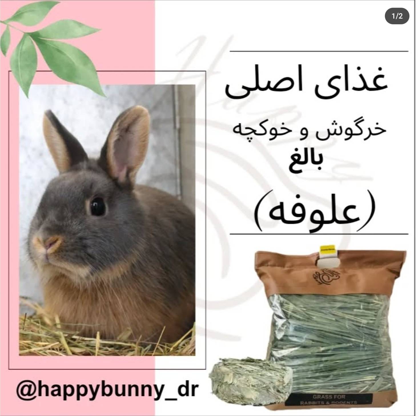 Happybuny